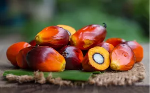 Morceaux de palmier à huile orange mûr rassemblés sur un sol en bois.