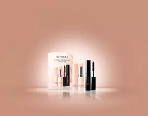 Lip and eye limited set with lip treatment stick and mascara in front of pink box