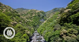 青空に、照葉樹林の山脈が連なる広大で美しい景色。