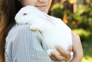 白いウサギが女性に優しく抱きあげられている様子。