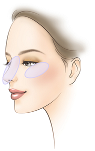 howto_sheer_glow_powder01