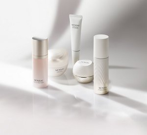 AEM_EXPERTItems_JP_sm