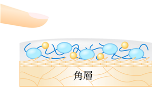 摩擦を防ぐ「クッション膜」