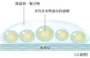 涂抹面霜时，易于锁水的油分与水溶性聚合物的图片