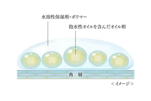 クリームを塗布した際の、水を抱え込みやすいオイルと水溶性ポリマーのイメージ図