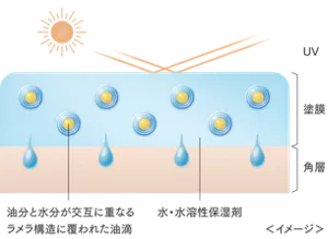 アドバンスト エッセンスデイヴェール塗布イメージ図。油分と水分が交互に重なるラメラ構造に覆われた油滴が含まれた水溶性保湿剤が肌に塗布されており、強力な紫外線から肌を守っている状態。