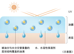 多效精华防晒乳涂抹示意图。示意图所示状态：水溶性保湿剂中含有被油水交替重叠的层状结构覆盖的油滴，涂抹于肌肤后形成保护屏障，能够抵御强烈紫外线的侵扰。