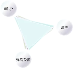 “呵护”、“滋养”、“弹润盈溢”三合一的产品特性示意图