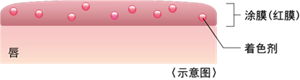 传统配方唇膏（偏重滋润感）的涂膜示意图