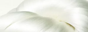 Close-up image of a bundle of Koishimaru Silk.