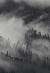 bg-vi-about__top_mobile