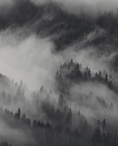 bg-vi-about__top_tablet