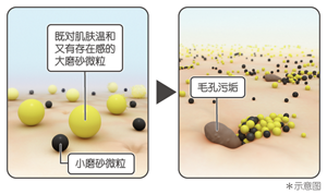 既对肌肤温和又有存在感的大磨砂微粒 小磨砂微粒 毛孔污垢 ＊示意图