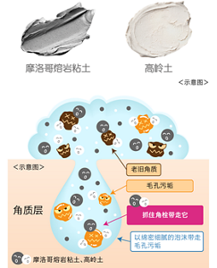 摩洛哥熔岩粘土 高岭土 ＜示意图＞ 角质层 摩洛哥熔岩粘土、高岭土 老旧角质 毛孔污垢 抓住角栓带走它 以绵密细腻的泡沫带走 毛孔污垢