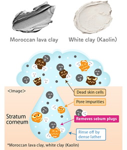 Moroccan lava clay White clay (Kaolin) ＜Image＞ Stratum corneum Dead skin cells Pore impurities Removes sebum plugs Rinse off by dense lather *Moroccan lava clay, white clay (Kaolin) ＜Image＞