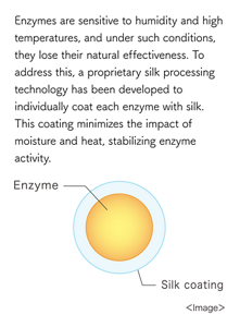 Enzymes are sensitive to humidity and high temperatures, and under such conditions, they lose their natural effectiveness. To address this, a proprietary silk processing technology has been developed to individually coat each enzyme with silk. This coating minimizes the impact of moisture and heat, stabilizing enzyme activity. Enzyme Silk coating ＜Image＞ 