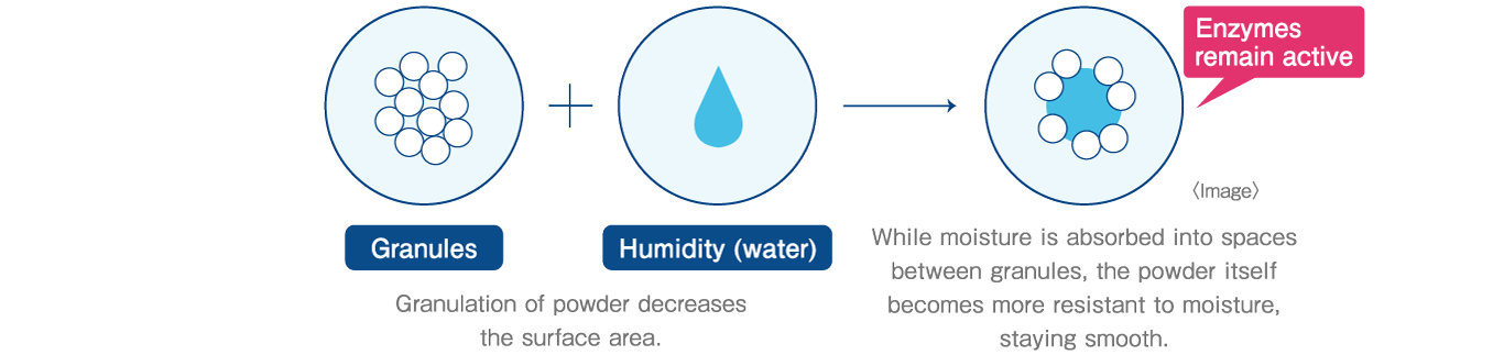 Granules+Humidity (water) Granulation of powder decreases the surface area. → While moisture is absorbed into spaces between granules, the powder itself becomes more resistant to moisture, staying smooth. Enzymes remain active 〈Image〉