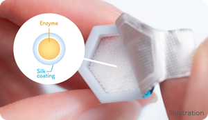 Enzyme Silk coating Illustration