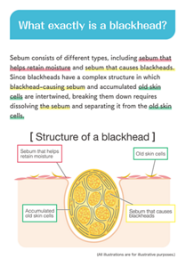 What exactly is a blackhead? Sebum consists of different types, including sebum that helps retain moisture and sebum that causes blackheads. Since blackheads have a complex structure in which blackhead-causing sebum and accumulated old skin cells are intertwined, breaking them down requires dissolving the sebum and separating it from the old skin cells. [ Structure of a blackhead ] Sebum that helps retain moisture Old skin cells Accumulated old skin cells Sebum that causes blackheads All illustrations are for illustrative purposes