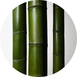 suqqu designing massage cream