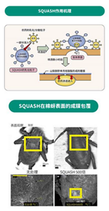 reduce-environmental-damage04