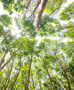 research-development02