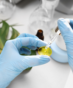 research-development03