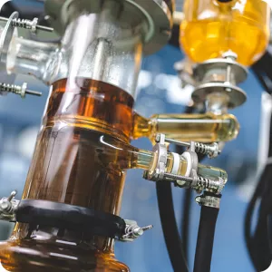 On-site enzyme production for biomass conversion and saccharification