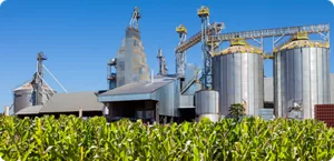 Biochemical facility with corn biomass for onsite enzyme cost reduction