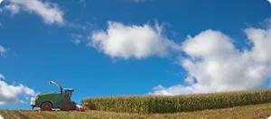 Agricultural field with crop residues for lignocellulosic biomass conversion