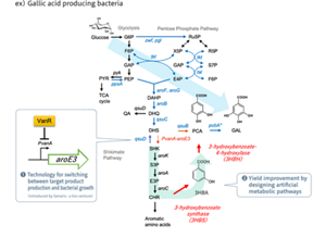 電子部品用洗浄剤図