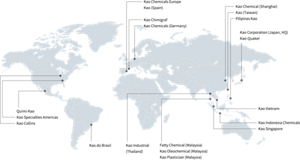 KaoChemicals_business_overview_en_03