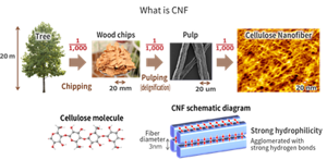 lunaflex_about_cnf_01_en