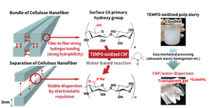 lunaflex_about_cnf_02_en