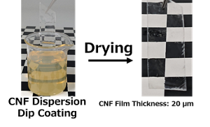 Illustration of CNF film preparation by casting and drying a CNF dispersion