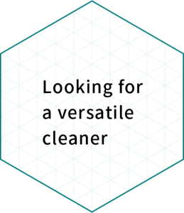 Looking for a versatile cleaner