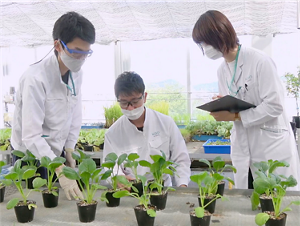 花王の研究開発イメージ