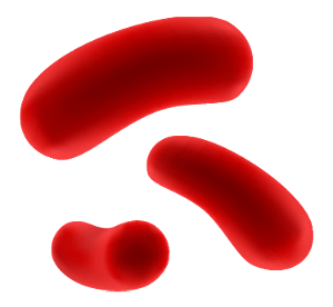 病原菌のイメージ