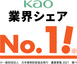 Kao 業界シェア No.1!