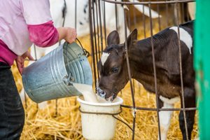 農薬製剤用助剤イメージ