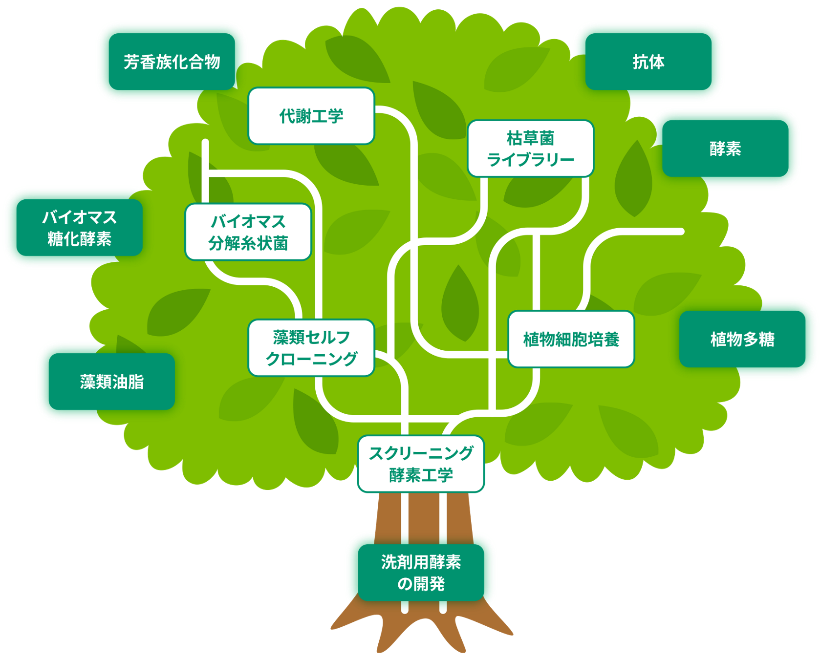 菌と糖化プロセスの最新研究成果 - Genspark