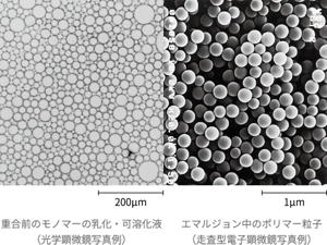 左図が重合前のモノマーの乳化と可溶化液の光学顕微鏡写真例。右図がエマルション中のポリマー粒子の走査型電子顕微鏡写真例。