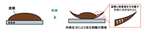 自己剥離膜のメカニズム　・内部応力による自己剥離