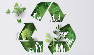 kaoChemicals_field_13