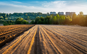 廃PETイメージ図