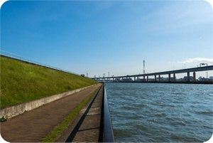 viscotop 500k,powderf