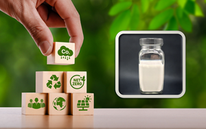 廃PETイメージ図