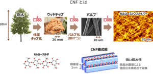 lunaflex_about_cnf_01
