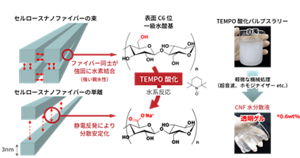 lunaflex_about_cnf_02