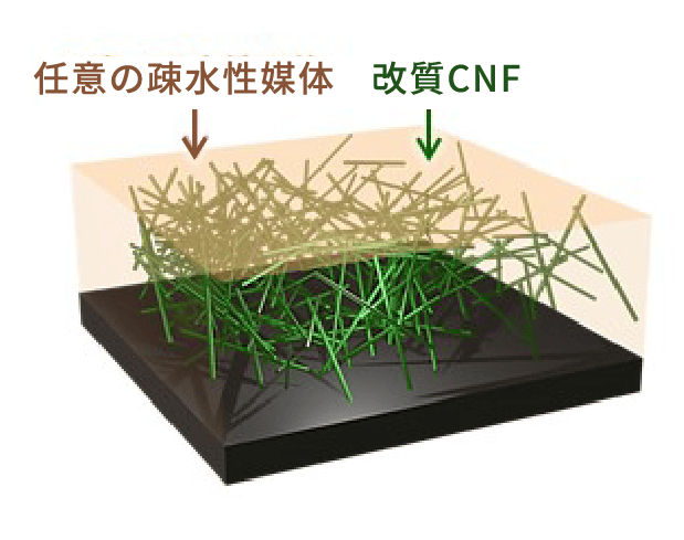 ルナフレックスの技術 | 花王のCNF(セルロースナノファイバー ルナフレックスの技術 | 花王のCNF(セルロースナノファイバー